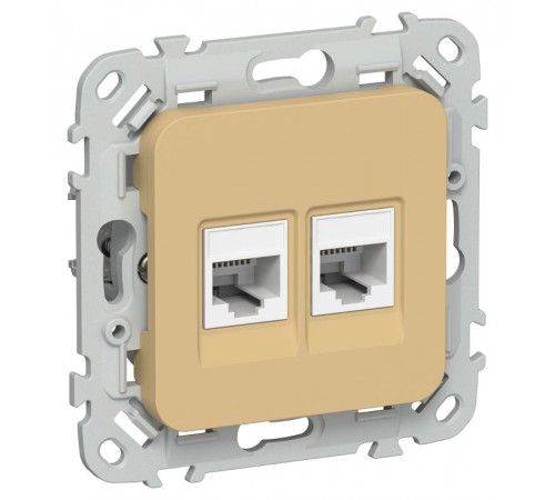 FLITE Розетка 2-ая RJ45/RJ11 кат.5Е/3 UTP РКТ5е/3-2-0-ФлШм шамуа  FI-KT22-1-K89  IEK