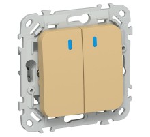 FLITE Переключатель 2-клавишный с индикацией 10А ВС62-1-1-ФлШм шамуа  FI-V22-1-10-1-K89  IEK