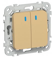 FLITE Выключатель 2-клавишный кнопочный с индикацией 10А ВС12-2-1-ФлШм шамуа  FI-V24-1-10-1-K89  IEK