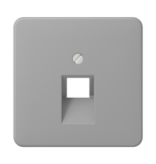 Крышка для ординарной телефонной и компютерной розетки  UAE; серая CD569-1UAGR Jung
