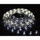 Лента светодиодная LS613/ 120SMD(2835)/м 9.6Вт/м 12V 5000*10*1.84мм 6500К, IP65  27731  FERON