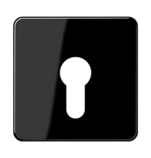 центральная плата для вставки с ключом CD525SW Jung