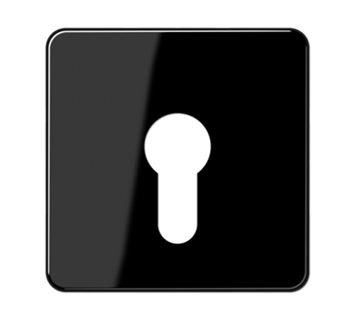 центральная плата для вставки с ключом CD525SW Jung