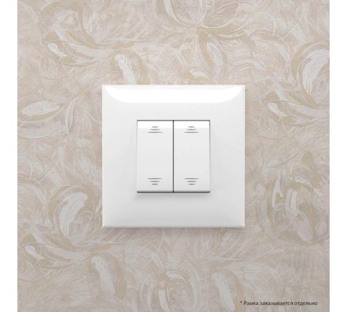 Выключатель двухклавишный в стену, "Avanti", "Белое облако"  4400104  DKC