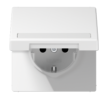 SCHUKO розетка с полем для надписи и крышкой LS1520BFNAKLWW Jung