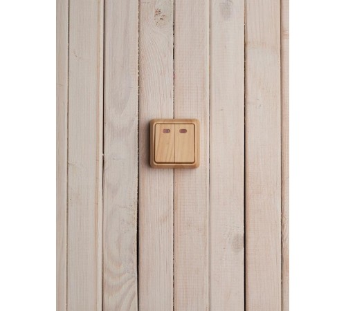 ОКТАВА сосна Выключатель 2-клавишный с индикацией 10А ВС20-2-1-ОС EVO21-K03-10-DC  GENERICA