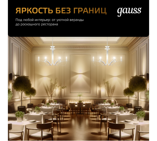 Лампа светодиодная Black LED Filament Шар E27 9W 680lm 2700K  105802109  Gauss