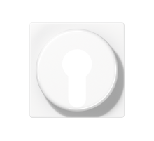 Крышка для выключателя с замком; белый A528PLWW Jung