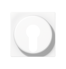 Крышка для выключателя с замком; белый A528PLWW Jung