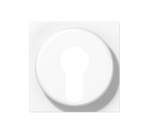 Крышка для выключателя с замком; белый A528PLWW Jung