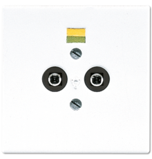 Розетка штепсельная для выравнивания потенциалов; белая LS965-2WW Jung