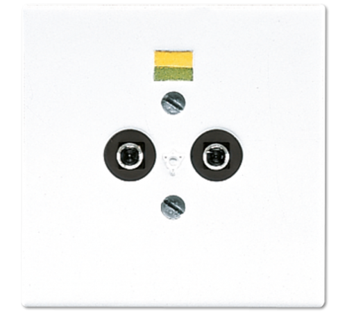 Розетка штепсельная для выравнивания потенциалов; белая LS965-2WW Jung