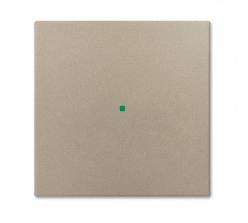 SR-1-93 Клавиша одинарная free@home, Basic 55, цвет шампань  6220-0-0652   2CKA006220A0652  ABB