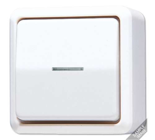 Выключатель контрольный для накладного монтажа  606KO5A  Jung