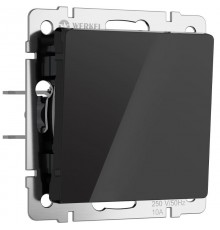 W1110048/ Электроустановочные изделия - Выключатель одноклавишный (черный акрил)  a064024  Werkel