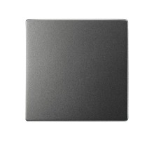 Клавиша для выключателя цвета матовый титан S82 Concept  8200010-096  Simon