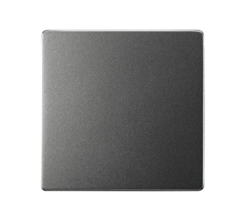 Клавиша для выключателя цвета матовый титан S82 Concept  8200010-096  Simon