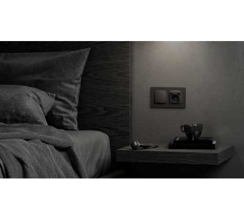 Клавиша для выключателя цвета матовый титан S82 Concept  8200010-096  Simon