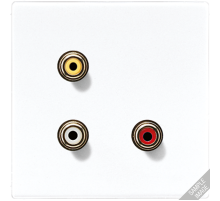2x Cinch Audio (RCA) / Composite Video MALS1031 Jung