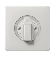 накладка поворотного механизма светло-серая  CD1541LG  Jung