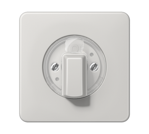 накладка поворотного механизма светло-серая  CD1541LG  Jung