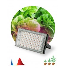 Фитопрожектор для растений светодиодный 80Вт FITO-80W-RB-LED-Y красно-синего спектра  Б0053082  ЭРА