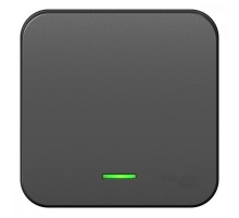 Blanca Антрацит О/У Выключатель 1-клавишный с подсветкой, 10А, 250B  BLNVA101106  SE