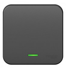 Blanca Антрацит О/У Выключатель 1-клавишный с подсветкой, 10А, 250B  BLNVA101106  SE