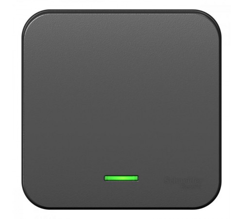 Blanca Антрацит О/У Выключатель 1-клавишный с подсветкой, 10А, 250B  BLNVA101106  SE