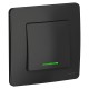 Blanca Антрацит С/У Выключатель 1-клавишный с подсветкой, 10А, 250B  BLNVS010116  SE