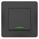 Blanca Антрацит С/У Выключатель 1-клавишный с подсветкой, 10А, 250B  BLNVS010116  SE