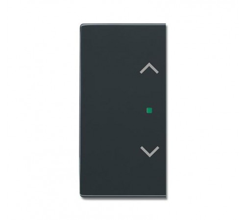 SRB-2-81 Клавиша двойная free@home, жалюзи, future, антрацит  6220-0-0158   2CKA006220A0158  ABB