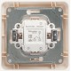 W59 Слоновая кость Выключатель 2-клавишный, 10А (в сборе)  VS510-252-28  SE