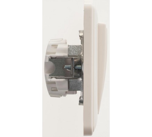 W59 Слоновая кость Выключатель 2-клавишный, 10А (в сборе)  VS510-252-28  SE