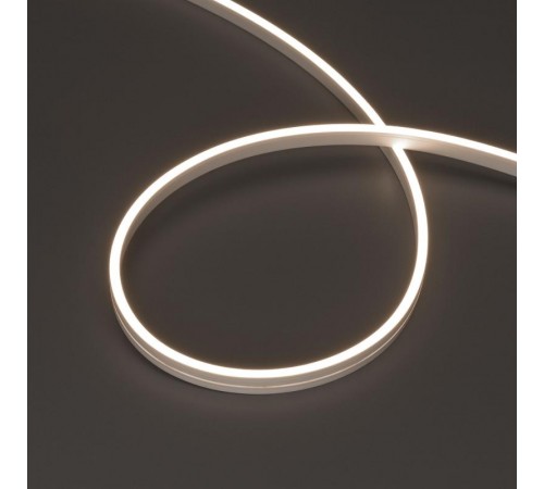 Образец Гибкий неон ARL-MOONLIGHT-1004-SIDE 24V Day (arlight, 6.8 Вт/м, IP65)  029772  Arlight
