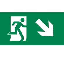 Пиктограмма (наклейка) "ВЫХОД/стрелка напр. вниз" PVC для ССА 3000 IEK  LPC10-2-30-15-NAPRVN  IEK