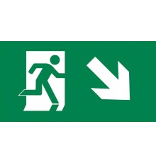 Пиктограмма (наклейка) "ВЫХОД/стрелка напр. вниз" PVC для ССА 3000 IEK  LPC10-2-30-15-NAPRVN  IEK