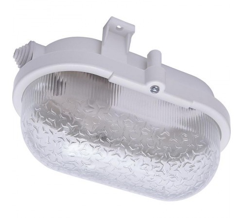 Светильник ЖКХ НБП 01-60-012 220V 60Вт Е27 IP54 пластик стекло  41405  Feron