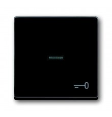 Клавиша для механизма 1-клавишного выкл./перекл./кнопки, с символом "КЛЮЧ", серия solo/future, цвет антрацит  1751-0-2933   2CKA001751A2933  ABB