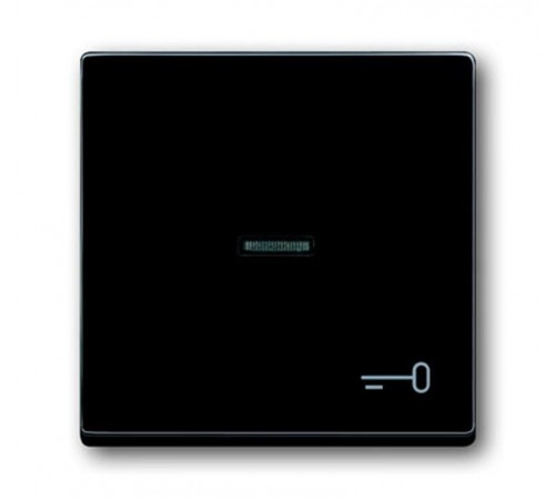 Клавиша для механизма 1-клавишного выкл./перекл./кнопки, с символом "КЛЮЧ", серия solo/future, цвет антрацит  1751-0-2933   2CKA001751A2933  ABB