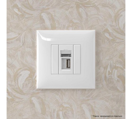 USB 2.0 розетка одинарная в стену, тип А-А, "Avanti", "Белое облако"  4400403  DKC