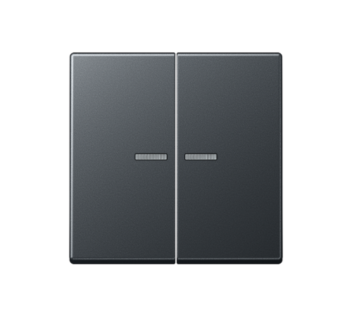 Двойная клавиша с окошками для балансирных механизмов выключателей (кнопок), в комплекте с AS90-5HP (крепежный элемент), возможно IP44; термопласт; ма