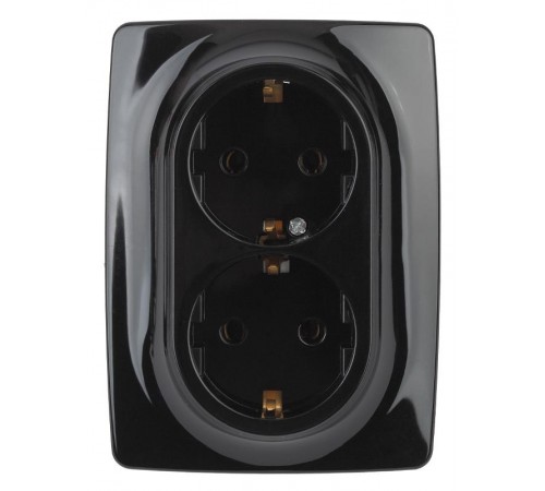 12-2108-06  Розетка 2-ая с заземлением со шторками, 16A-250В, IP20, Эра12, чёрный  Б0036447  ЭРА