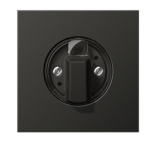 накладка поворотного механизма антрацит  AL1941AN  Jung