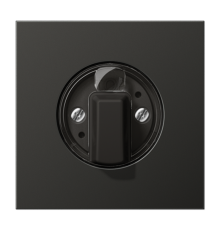 накладка поворотного механизма антрацит  AL1941AN  Jung