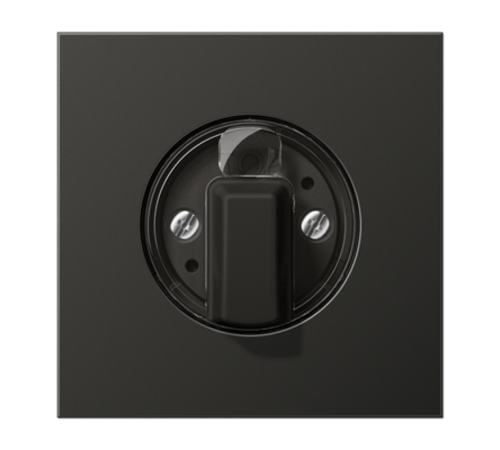 накладка поворотного механизма антрацит  AL1941AN  Jung