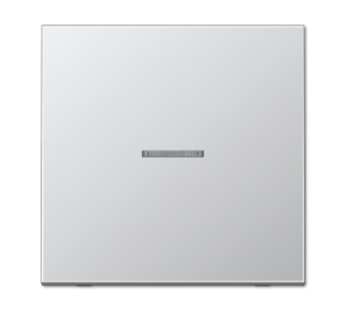 Одинарная клавиша с окошком для балансирных механизмов выключателей (кнопок), в комплекте с CD90HP (крепежный элемент), возможно IP44; металл; алюмини