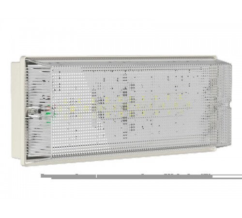 Светильник аварийного освещения BS-UNIVERSAL-81-L1-INEXI3-FELS  a15654  Белый свет