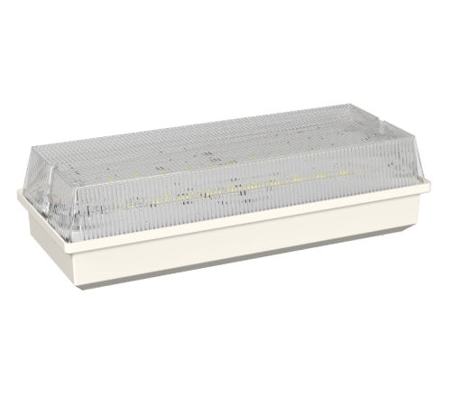Светильник аварийного освещения BS-UNIVERSAL-81-L1-INEXI3-FELS  a15654  Белый свет