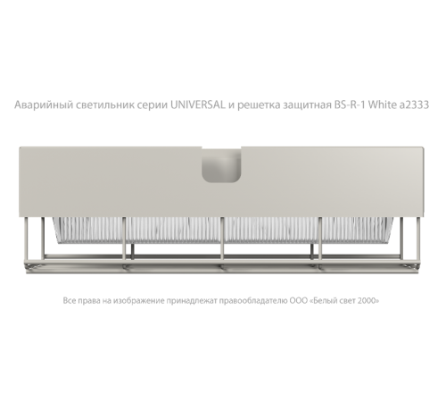 Светильник аварийного освещения BS-UNIVERSAL-81-L1-INEXI3-FELS  a15654  Белый свет